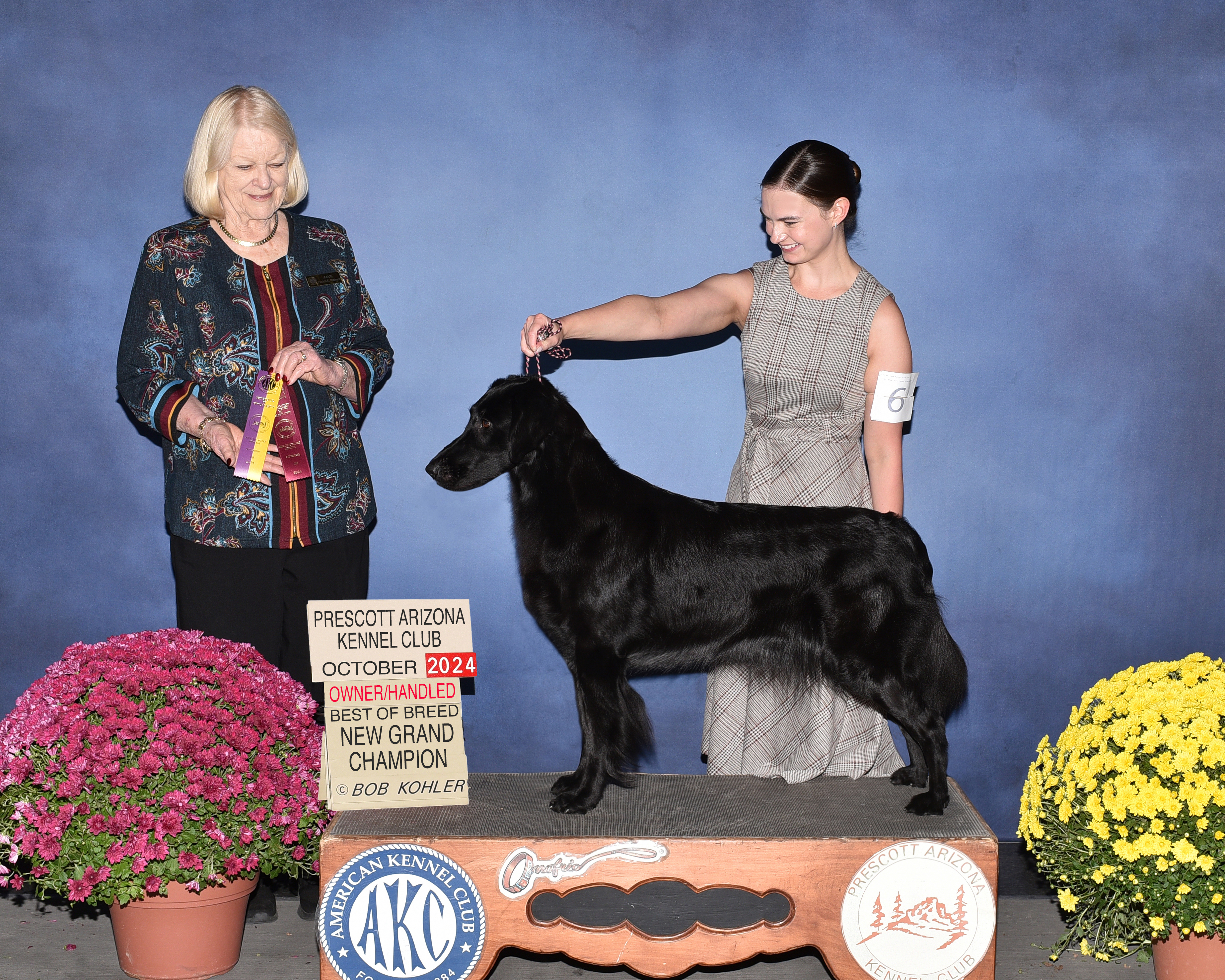 Dog training student photo