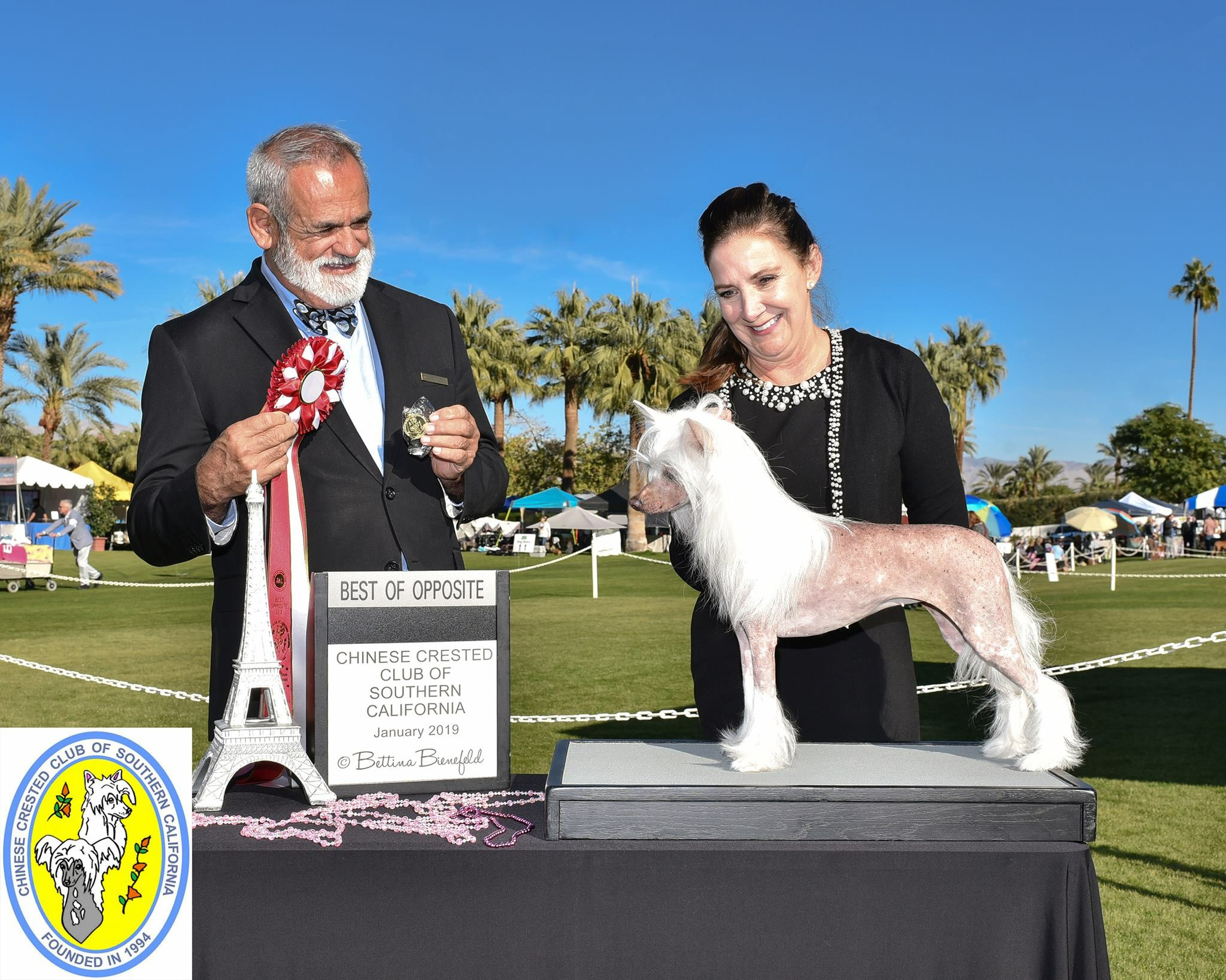 Dog training student photo