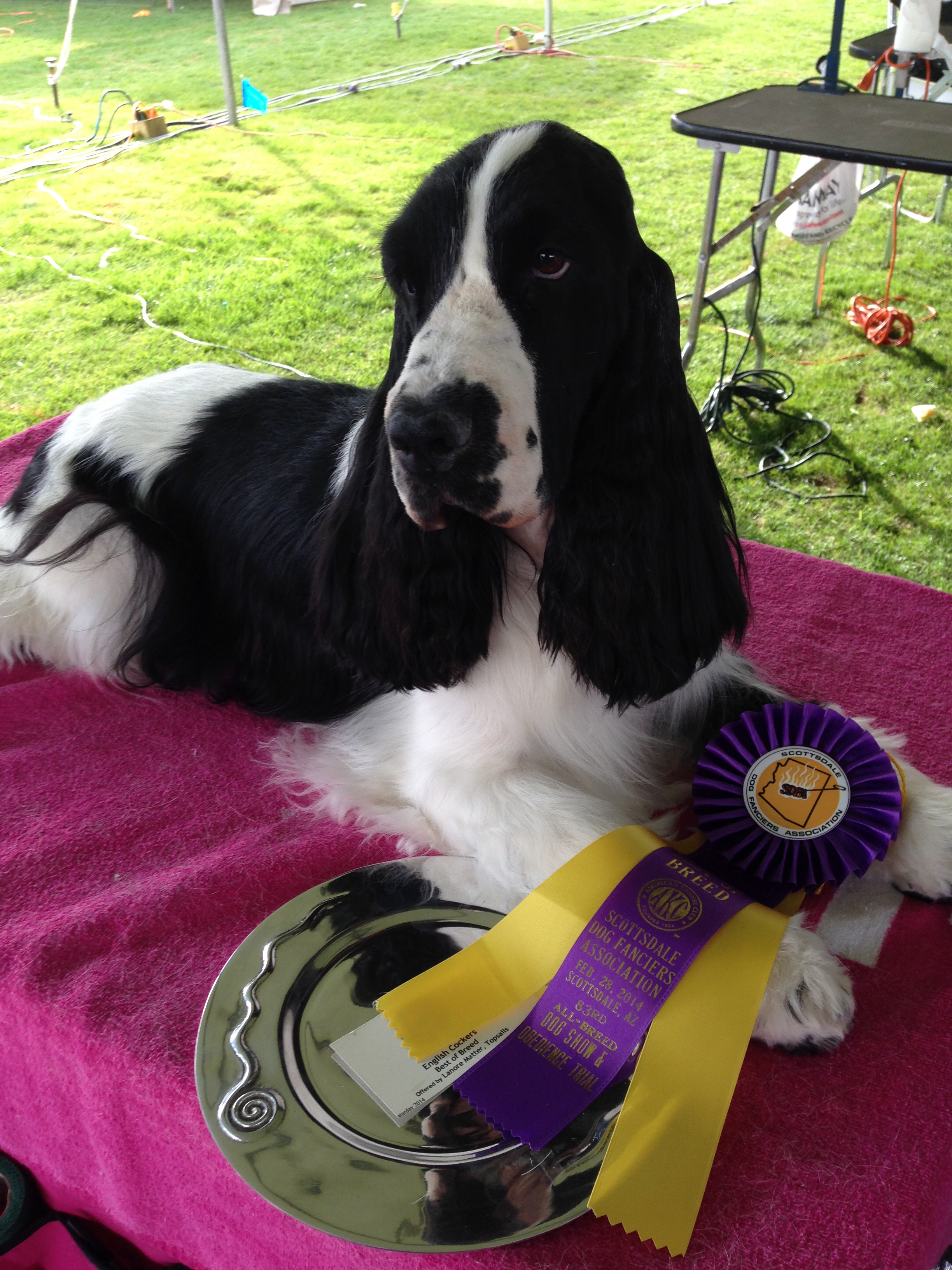Dog training student photo